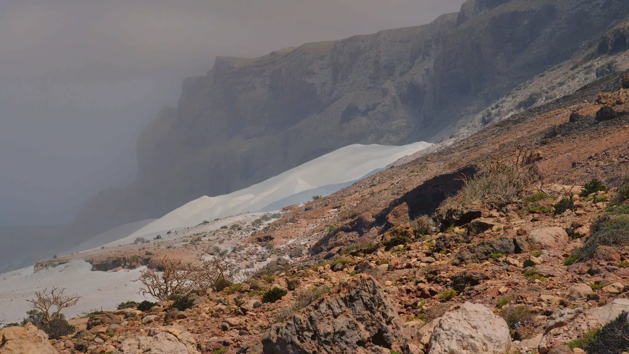 When to Visit Socotra: The Season, Month by Month