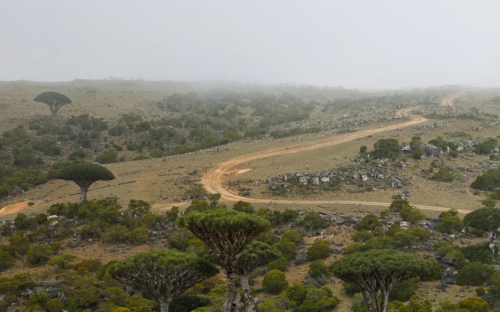 Responsible Travel in Socotra: What Actually Helps