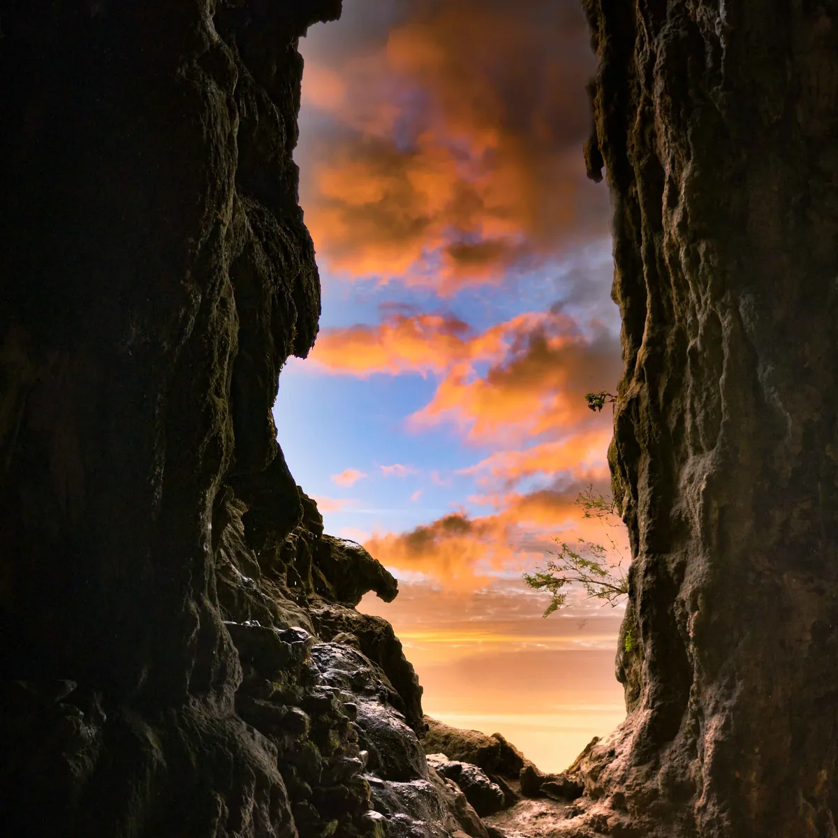 Looking out from inside the mouth of Hoq Cave