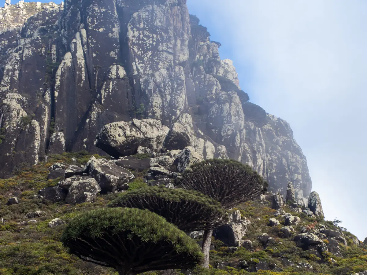 The crags of Mt Skand in the Haghier, with dragon's blood trees below